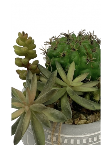 Cactus, plantas crasas y plantas suculentas artificiales