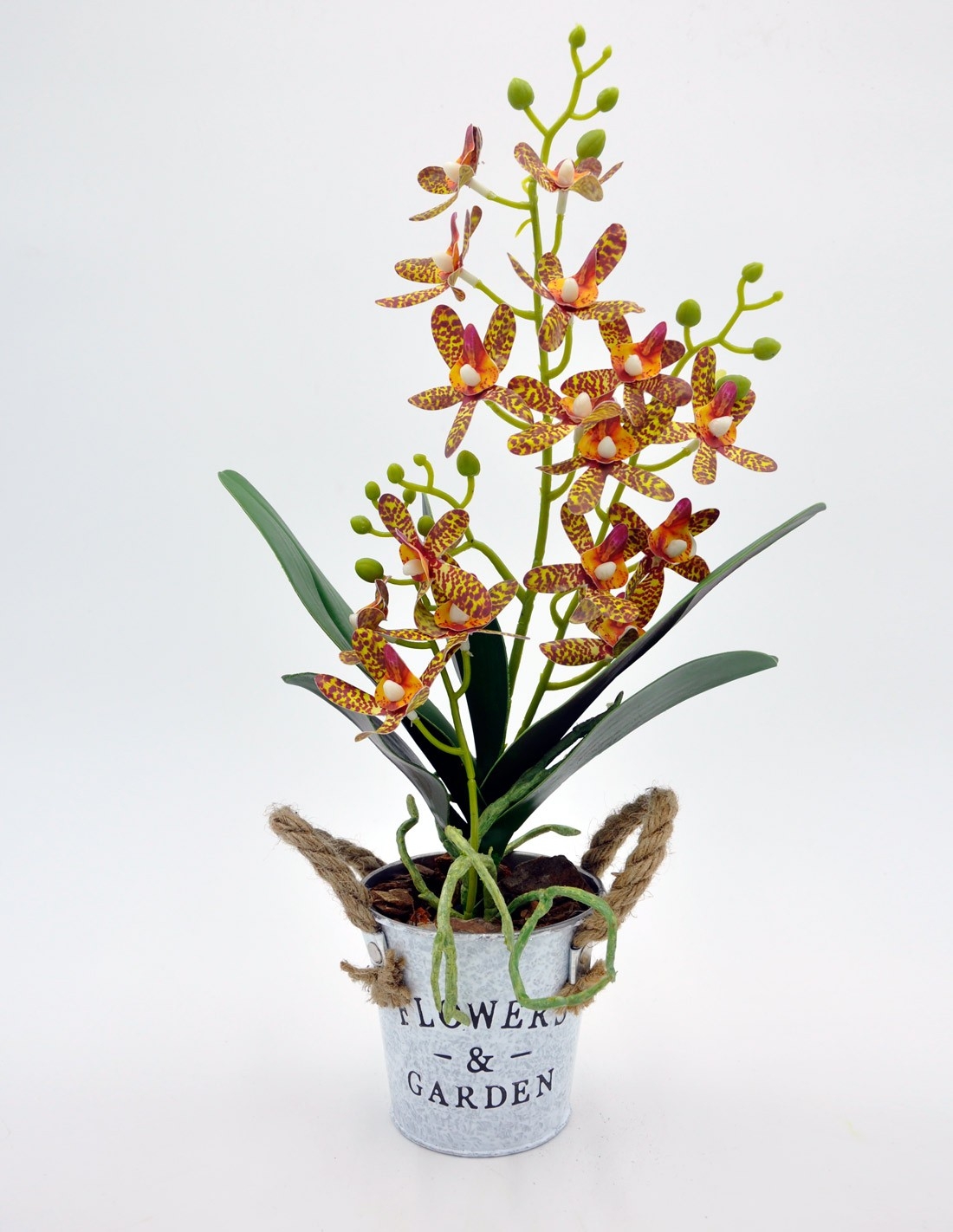 Orquídea bicolor artificial amb cubell