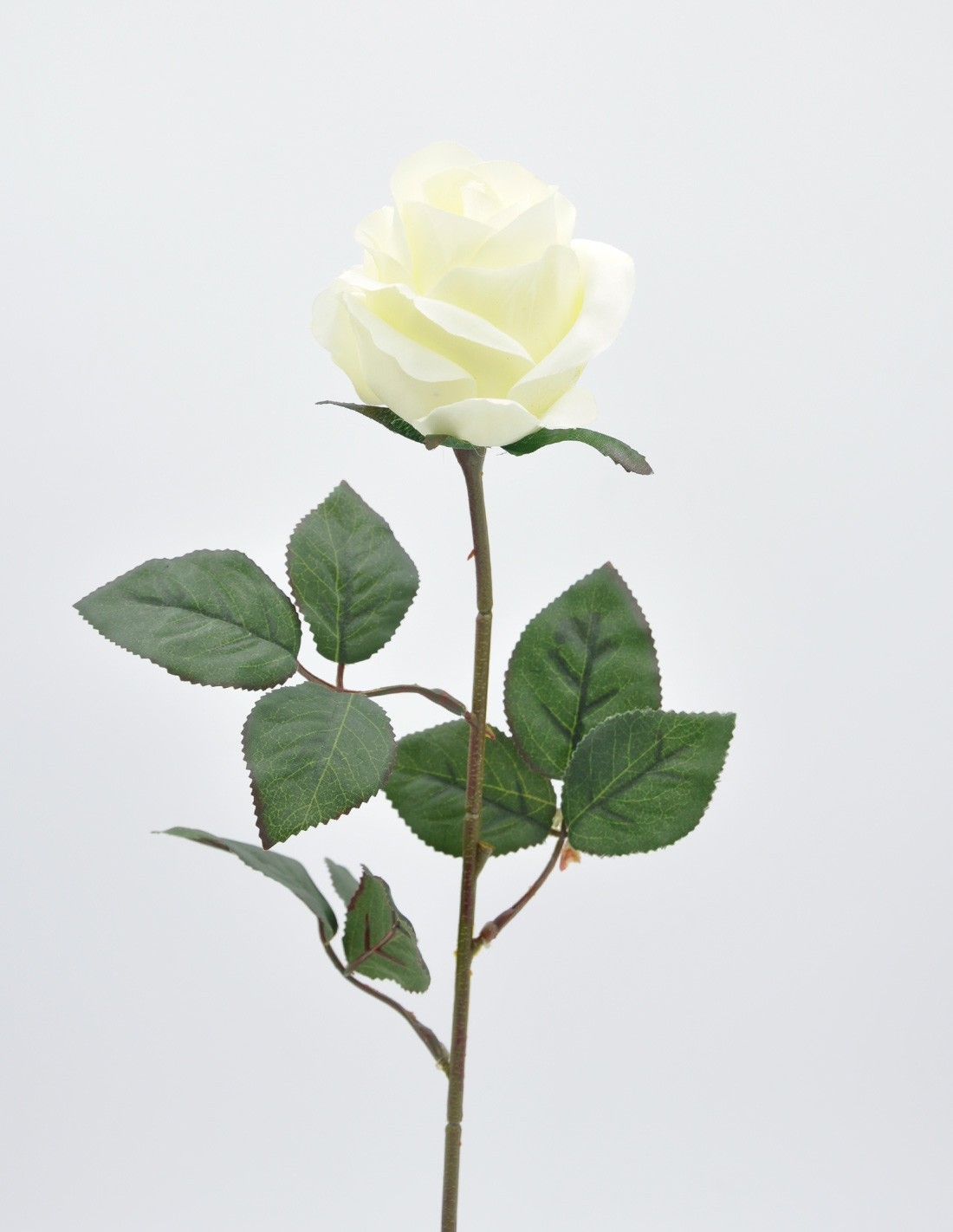 Rosa artificial color crema