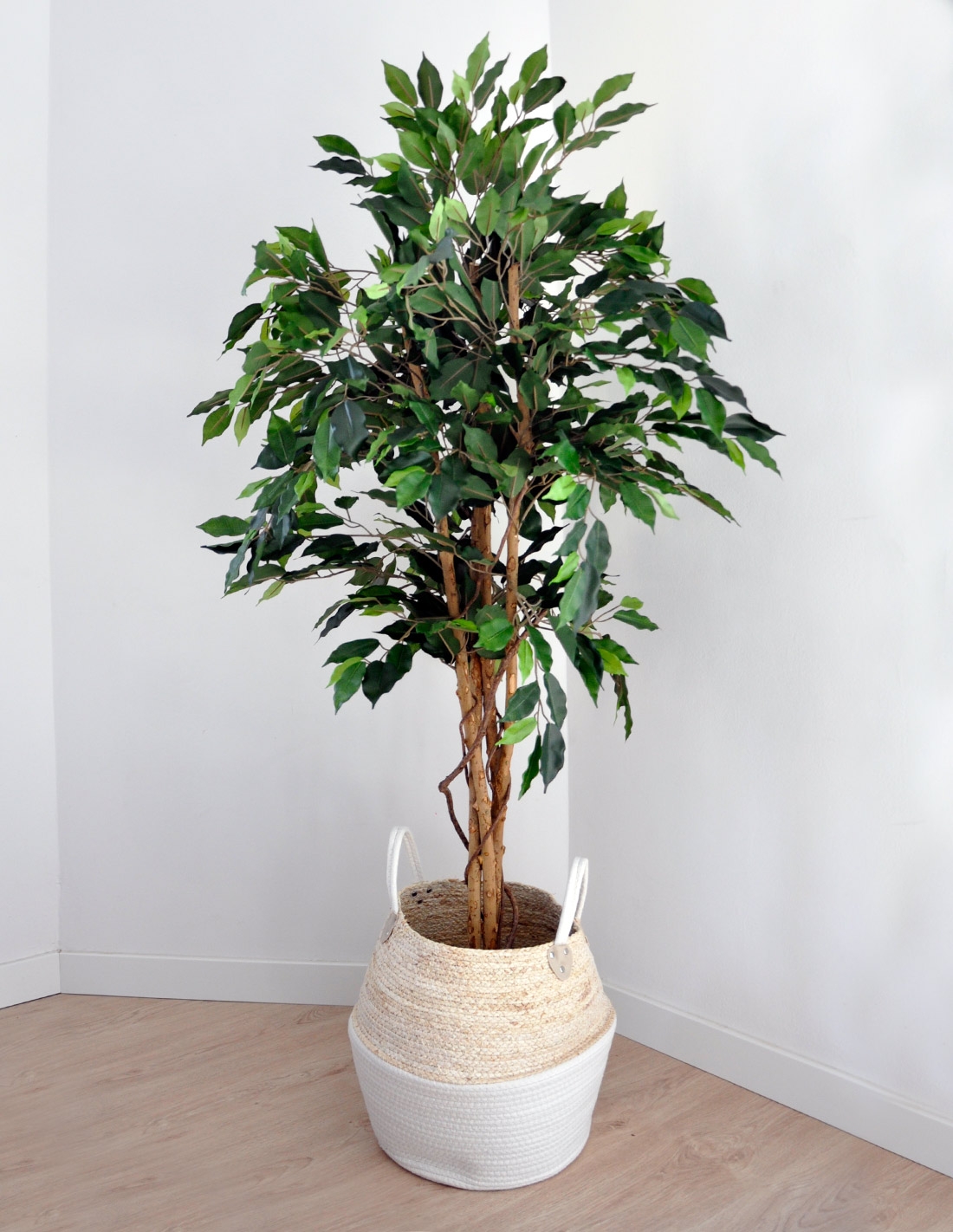 FEJKA planta artificial, int/ext bambú, 23 cm - IKEA